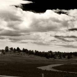 Cara Neir : Amaranthine Figures